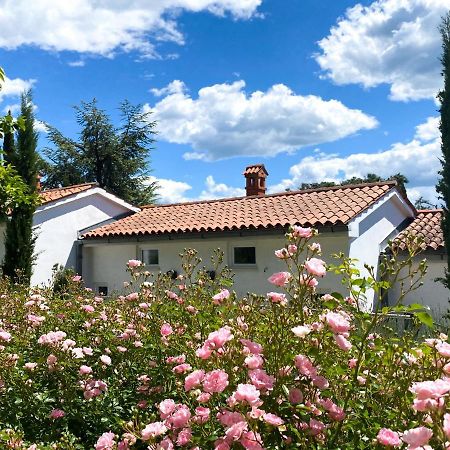 Calma Bungalows بورتوروز المظهر الخارجي الصورة